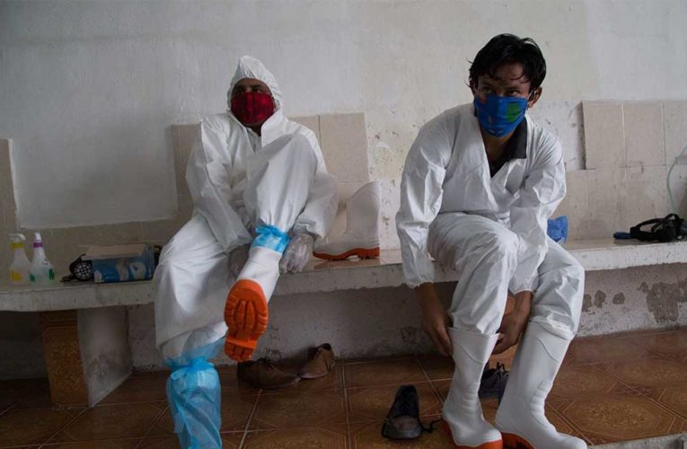 La Seseq informa que se tienen acumuladoa 129 casos de coronavirus en Querétaro