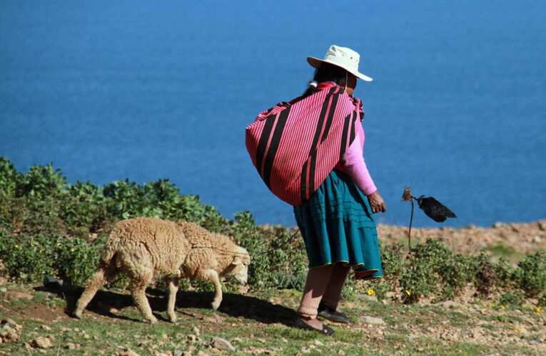 México recortará fondos para albergues de mujeres indígenas