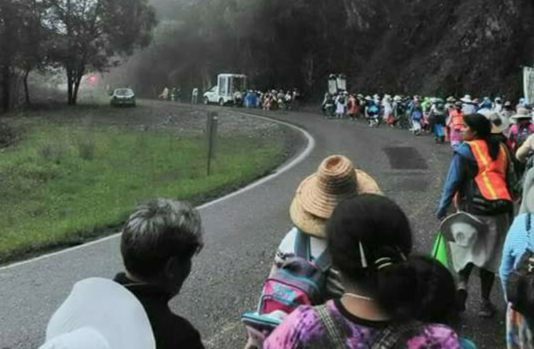 Feligreses se organizan para ir al Tepeyac