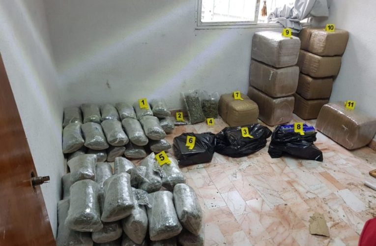 Decomisan 140 kilos de marihuana en colonia magisterial tras cateo