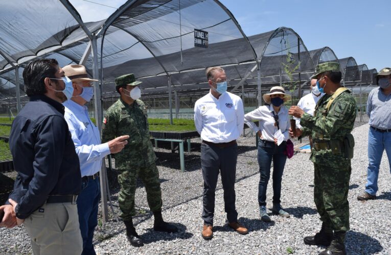 SEDENA entrega plantas para conservación en vivero a SEDESU y SEDEA