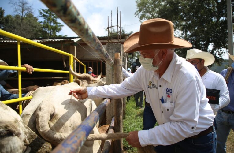 Primera Jornada Sanitaria de “Veterinario en tu Potrero”