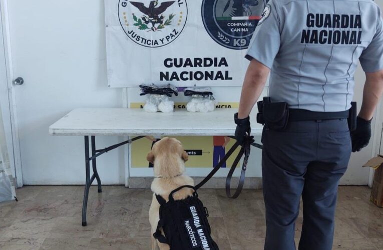 Guardia Nacional decomisó 13 kilos de metanfetaminas en el Aeropuerto Internacional de Querétaro