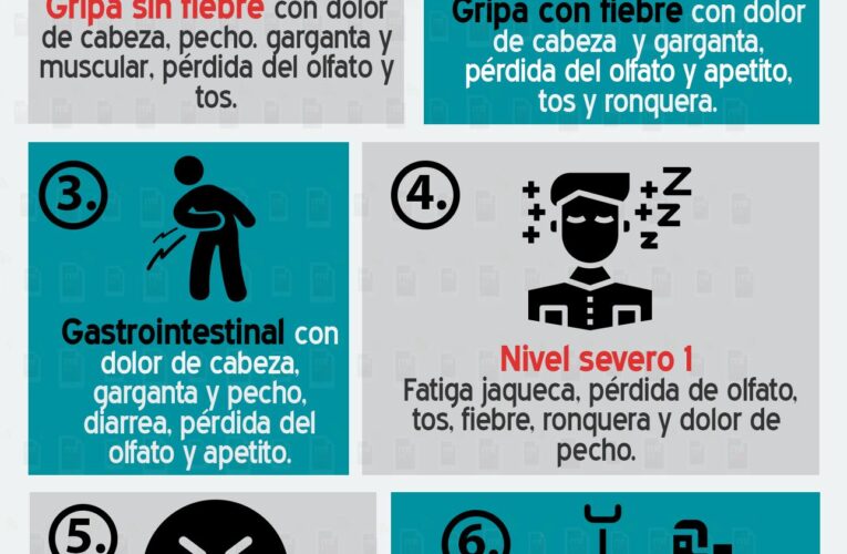 Conoce los 6 «tipos» de covid-19