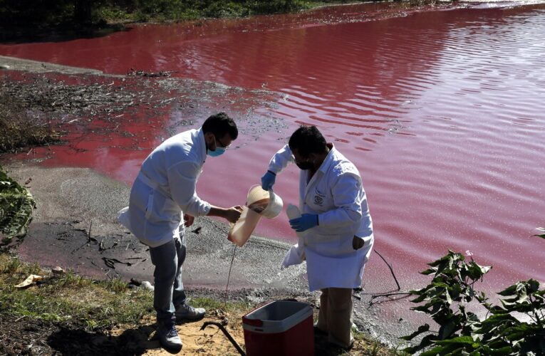 La contaminación tiñe de púrpura una laguna en Paraguay