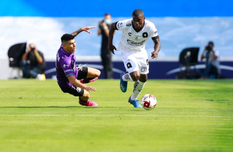 Gallos Blancos trabaja en mejorar la definición