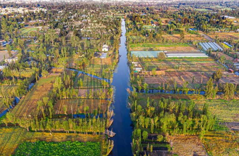 Xochimilco reabrió sus puertas este viernes