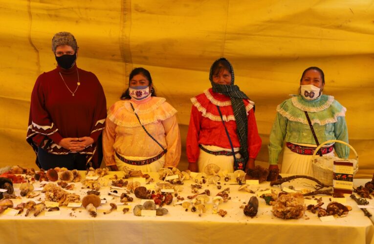 La UAQ resalta la importancia de los hongos en  la Feria de Amealco