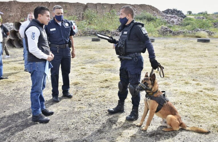 Reconocen a binomios caninos de Seguridad Pública de Corregidora