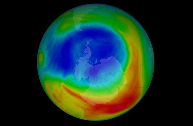 El agujero en la capa de ozono del 2020 es de los más grandes de la última década