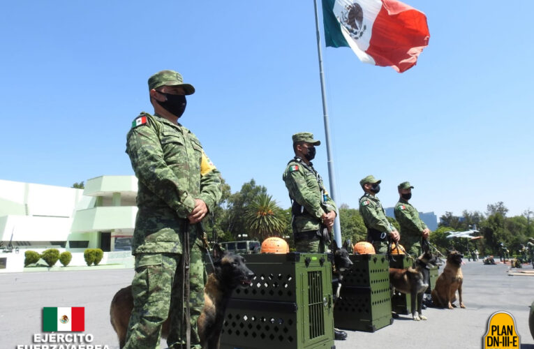 Ejército Mexicano desplegó la Fuerza de Apoyo para Casos de Desastre por el Huracán Delta