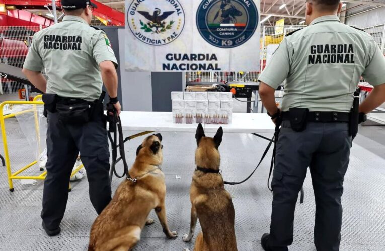 Aseguran Guardia Nacional y Ejército mexicano más de 1,300 ampolletas con  fentanilo en el Aeropuerto Internacional de Querétaro