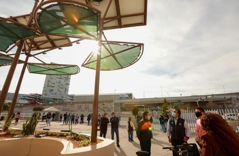 Presentan a Luis Nava prototipo de árboles solares que se instalarán en el Municipio