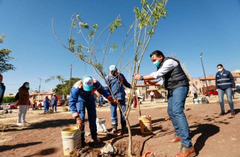 Realizan jornada de reforestación en Cerrito Colorado a través del programa «Respira»