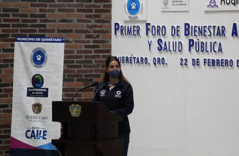 Inició el Primer Foro de Bienestar Animal y Salud Pública del Municipio de Querétaro