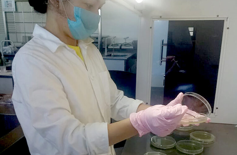 Estudiantes de biotecnología de la UTC desarrollan proyecto de colección de cultivos microbianos