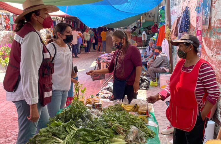 Elvia Montes recorre el mercado municipal de Tolimán