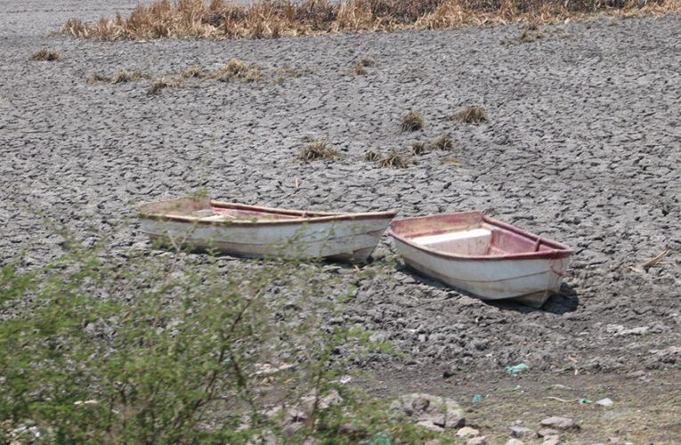 El lago de Cuitzeo: a punto de desaparecer por la sequía