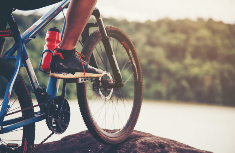 Día Internacional de la Bicicleta.