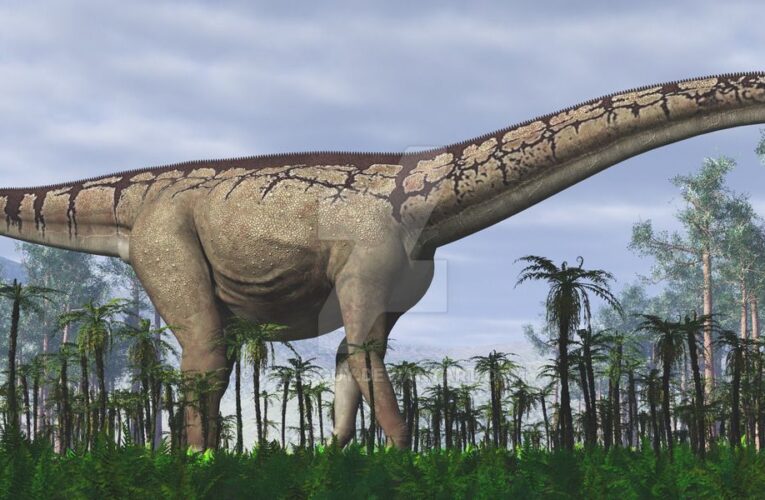 Se encuentran en Argentina restos de un dinosaurio gigante que vivió hace 90 millones de años