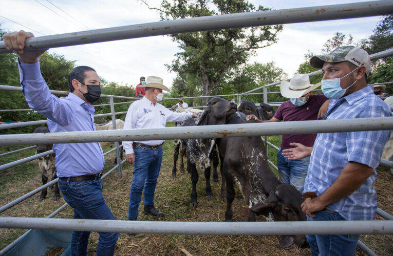 El campo serrano avanza con hechos, afirma Francisco Domínguez