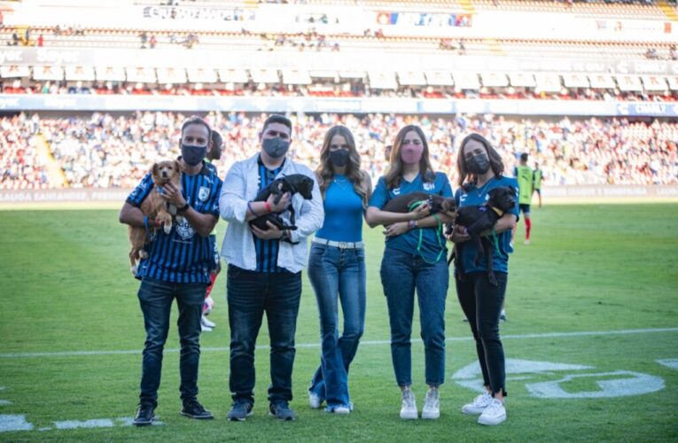 Inaugura Estadio Corregidora zonas Pet-Friendly; se convierte en el primero en el mundo en hacerlo