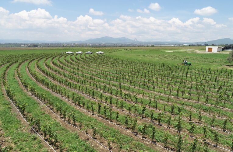 Para Plan Estatal de Desarrollo, SEDEA da inicio con foros en el sector agropecuario.