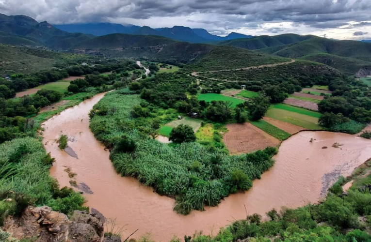 6 ríos contaminados de Querétaro son moderadamente tóxicos: Grupo Ecológico Sierra Gorda.