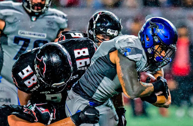 Luego de violencia en el Estadio Corregidora, Gallos Negros posponen su juego debut en contra de Reyes de Jalisco.