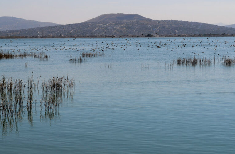 Declaran lago de Texcoco área natural protegida