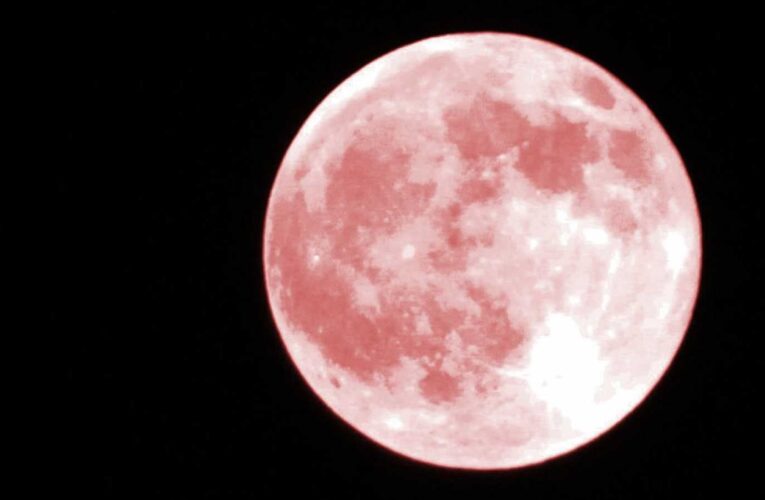 ¡Es hoy, es hoy! ¿List@ para la luna rosa?