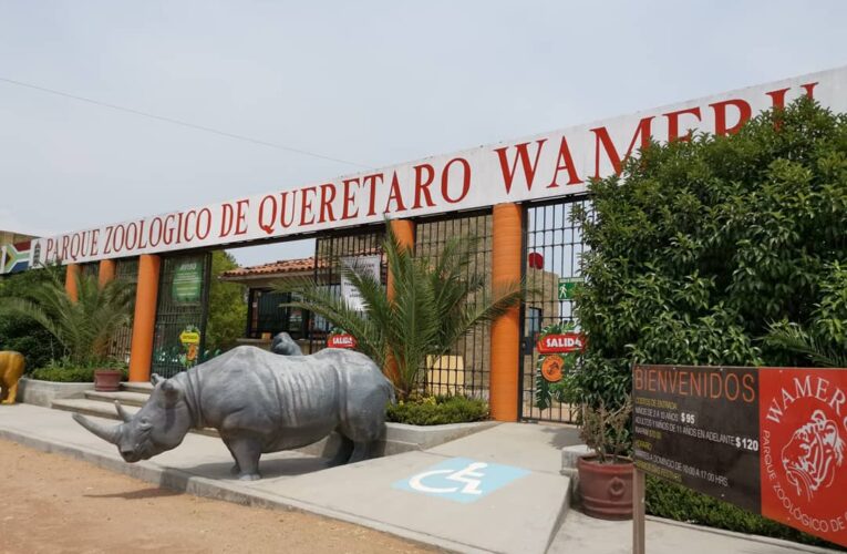 Se reporta robo en zoológico Wamerú; hay una persona fallecida.