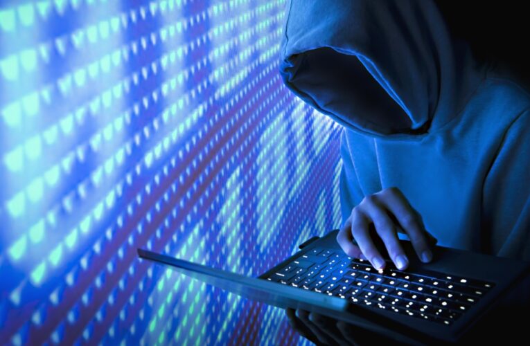 ¿Quienes son ‘Guacamaya’, los hackers que extrajeron información de la Sedena?