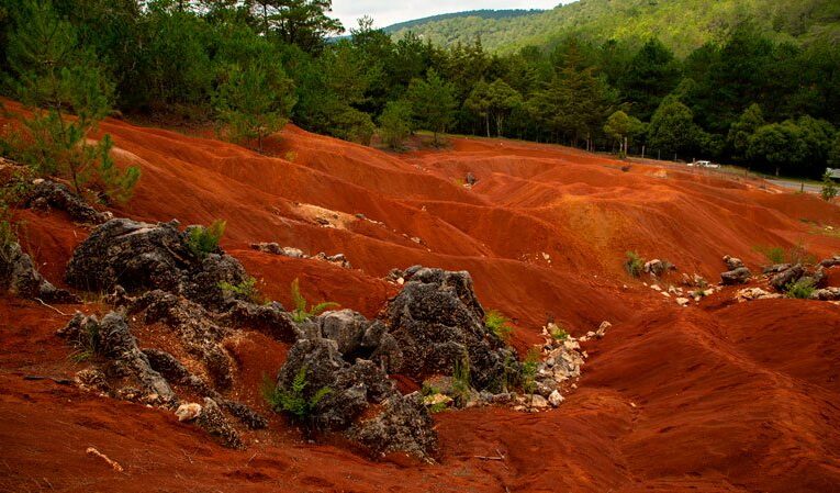 Restos fósiles marinos que puedes conocer en la Sierra Gorda de Querétaro