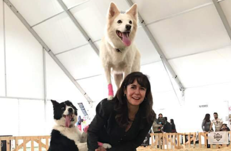 Evento Canino Navideño regresa a la Feria de Querétaro