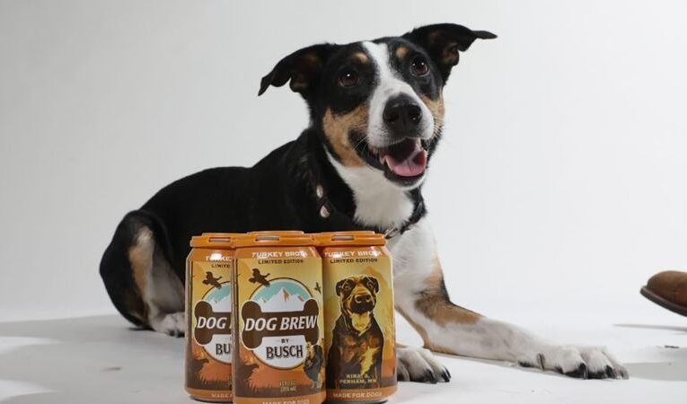 Ya existe una cerveza para perros: Dog Brew