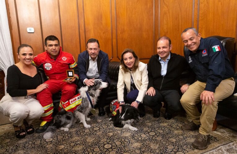 Nuevo proyecto de escuela para perros rescatistas en Querétaro