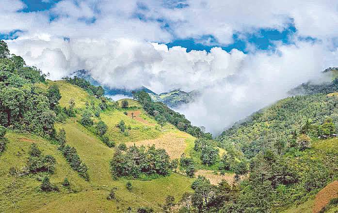 Municipio de Querétaro reitera cuidado de la biodiversidad