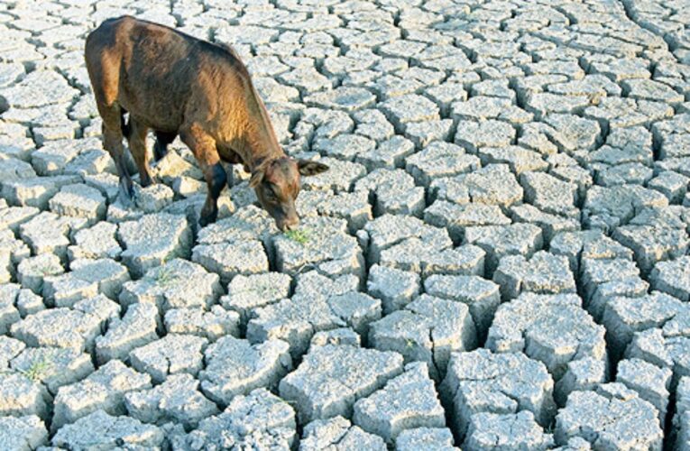 Querétaro: sumergido en sequía extrema