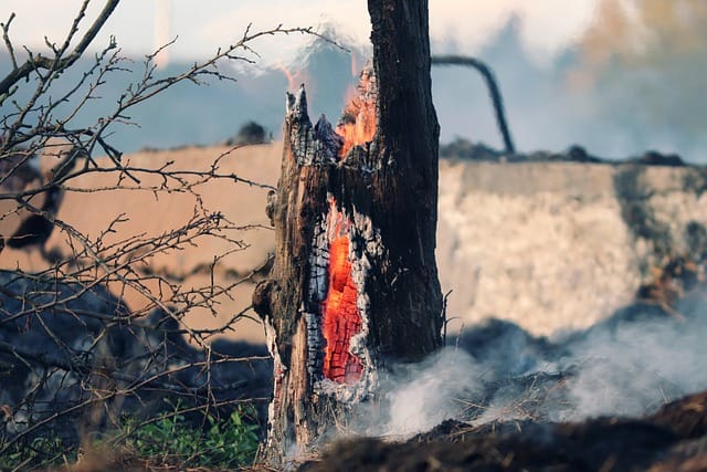 Brigadistas trabajan para sofocar incendio en Landa de Matamoros