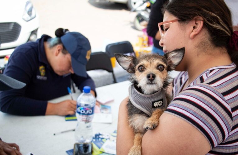 Macrojornada de Tenencia Responsable de Mascotas en Querétaro