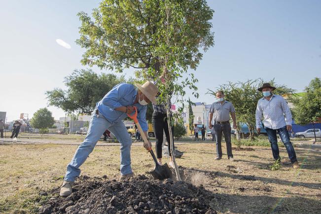Realizan entrega de árboles en las siete delegaciones de la capital por el Día Mundial del Árbol