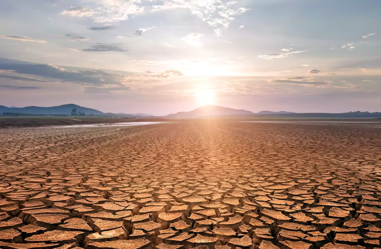 Combatir la desertificación y la sequía, un compromiso global