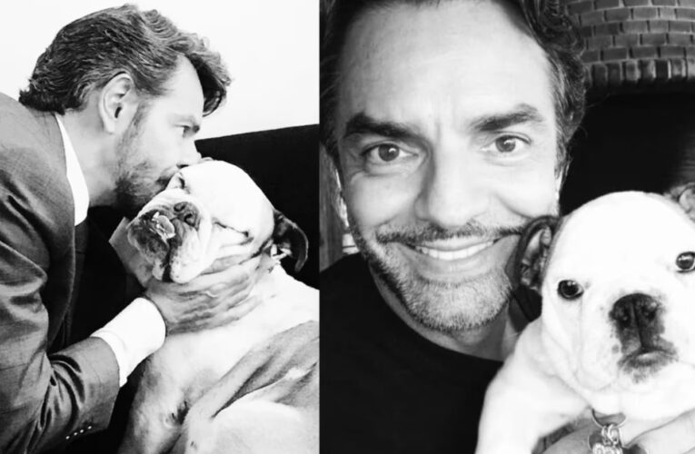 Eugenio Derbez se despide de su perrita Fiona