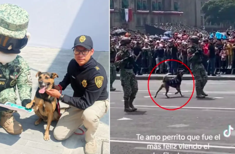 Cadete, el perrito del Desfile Militar, se convierte en miembro oficial del Ejército Mexicano