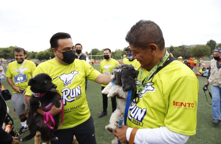 El 15 de octubre se celebrará la carrera canina P-Run 2023