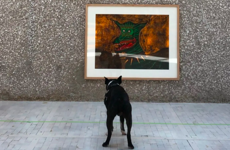 Museo Tamayo, en CDMX abre sus puertas a perros en exposición de arte