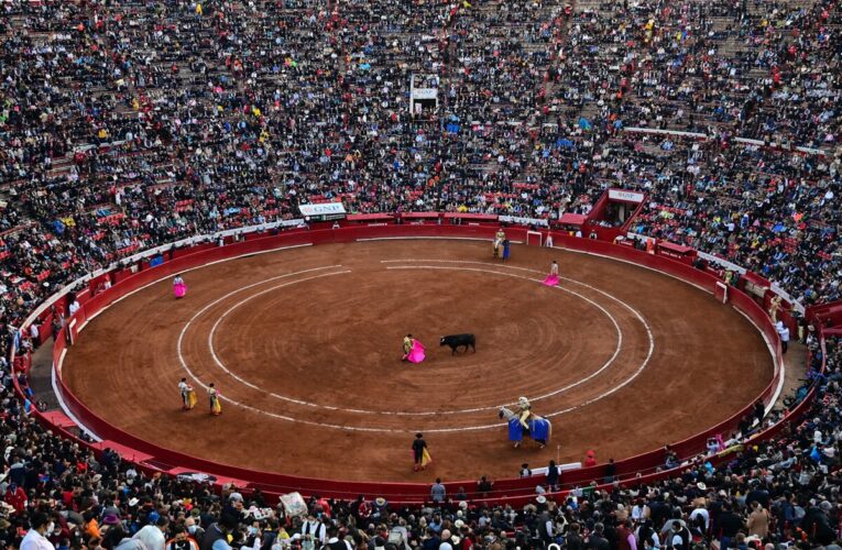 La SCJN desecha amparo y permite reanudar corridas de toros en la Plaza México