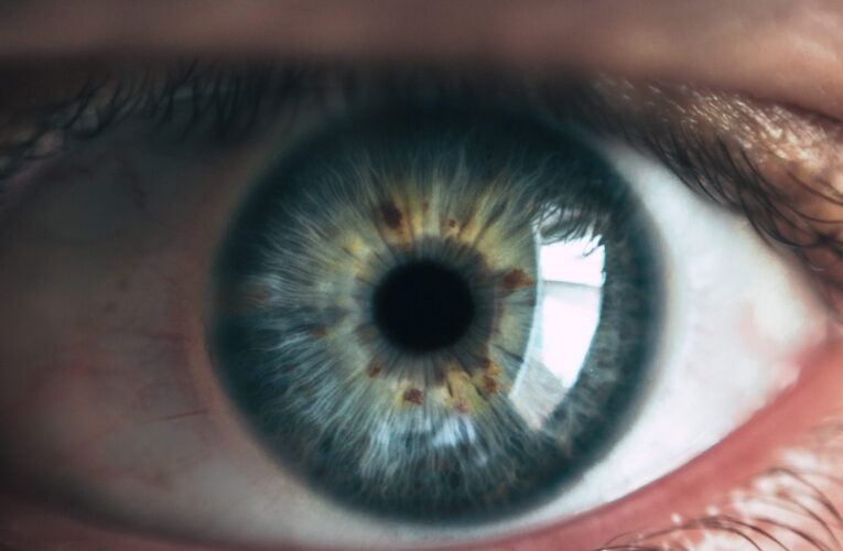 Secretos asombrosos de tus ojos: curiosidades que seguramente desconocías