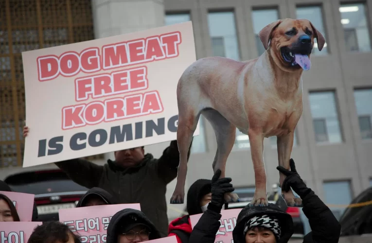 Corea del Sur prohíbe comercializar y comer carne de perro